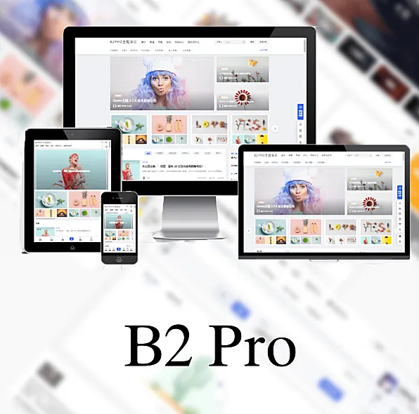 WordPress B2 PRO 主题 v5.4.2 无需授权直装版-七七搜